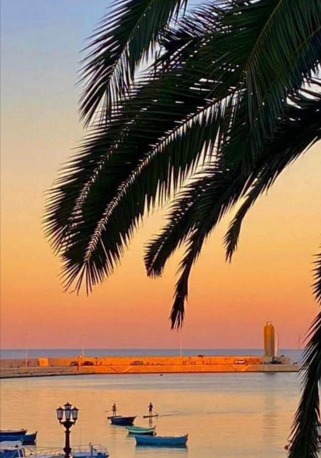 Summer Paradise Bari Quarto foto